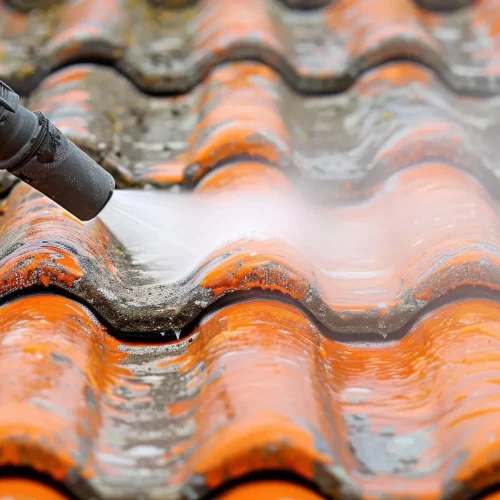 Démoussage de toiture Rueil-Malmaison