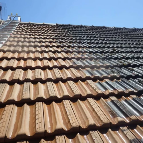 Démoussage toiture Rueil-Malmaison 92500