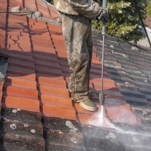 Démoussage toiture Rueil-Malmaison